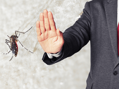 About Monthly Mosquito Treatment Plans Glendale - monthly mosquito treatment plans experts in Glendale