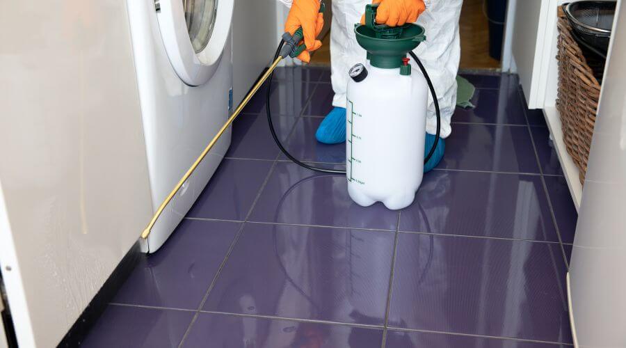 Why choose Monthly Mosquito Treatment Plans Glendale for monthly mosquito treatment plans in Glendale